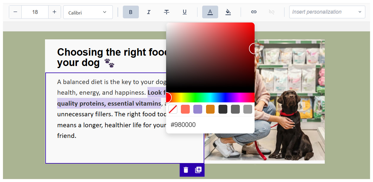 text editor text editor
